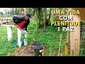 UMA GERAL NAS PLANTAS DA ROÇA COM NOSSO AMIGO BRAULINO | episódio 62