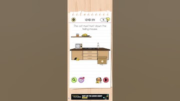 brain test All level 273