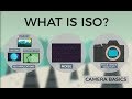 Camera basics  iso