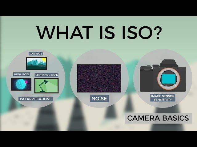 Camera Basics - ISO class=