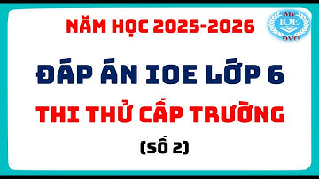 Đáp án IOE lớp 6 - Thi thử cấp trường - (Năm học 2025 - 2026) - Số 2