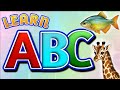 Toddlers alphabets | Abcd sound | kids rhymes | 12345 | a to z | K se kabutar |