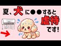 夏、犬に●●すると虐待です!雑学 保護犬 熱中症 子犬 犬のいる生活 豆知識 不思議