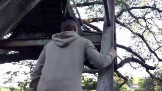 The Magical Treehouse | San Francisco | Airbnb | 2017