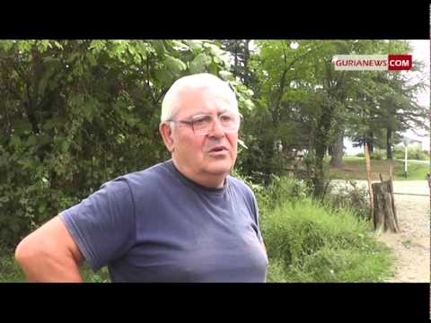 ჩოხატაურის ნაგავსაყრელი