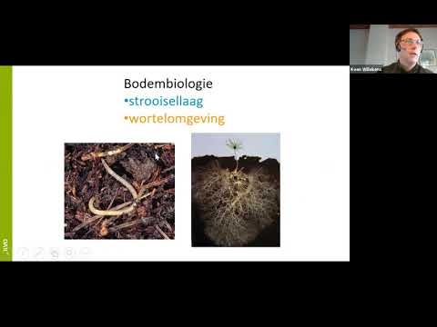 Video: Bodemverbeteraar: Hoe Een Additief Te Gebruiken Om De Bodemvruchtbaarheid Te Verbeteren, Voor Biologische Landbouw En Het Herstellen Van De Vruchtbaarheid?