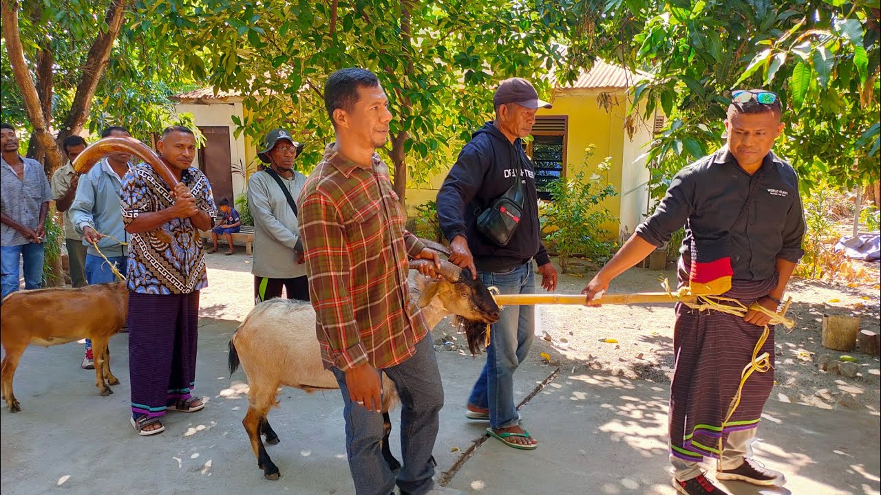 Rangkain Adat Sorong Bala (Antar Gading) oleh suku Langobelen kepada suku Domaking