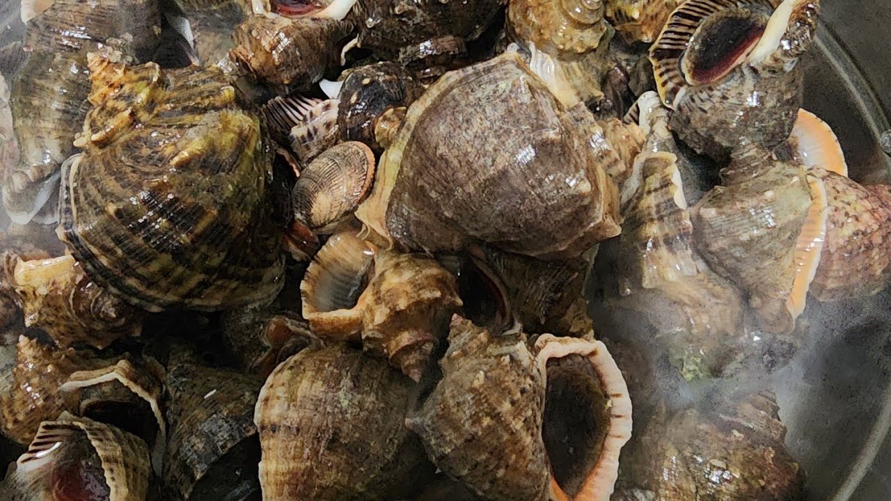 가까운 수도권에서 즐기는 소소한 행복(바다갈땐 해루어때~!)