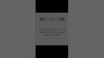 اكتب شيء تؤجر عليه 🤍 || #محمد_اللحيدان #سورة_النساء #قرآن #quran