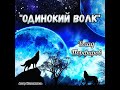 Влад Порфиров "ОДИНОКИЙ ВОЛК" ( Клип )