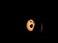 a cookie dance party #cookies #midharshan 9807