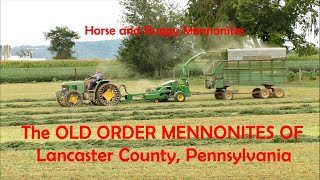 OLD ORDER MENNONITES and the LAND They Live On. Lancaster County, Pennsylvania. Horse and Buggy