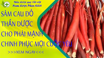 sâm cau đỏ thần dược số 1 của nam giới, chinh phục mọi cuộc yêu