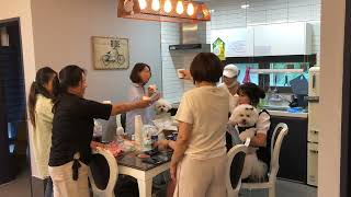 순천 라온하우스 포비와 여행