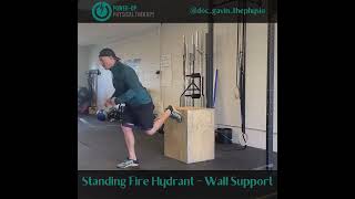 Standing Fire Hydrant- Wall/Box Net Worth