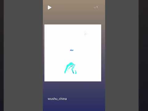 سيف الجنوبي أساليب الووشو الكونغ فو