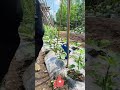Stop Digging Holes for Your Garden! Step and Plant with This Magic Tool to Save Time & Effort 🌱🔨✨