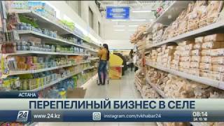 Выгоден ли перепелиный бизнес в Казахстане?