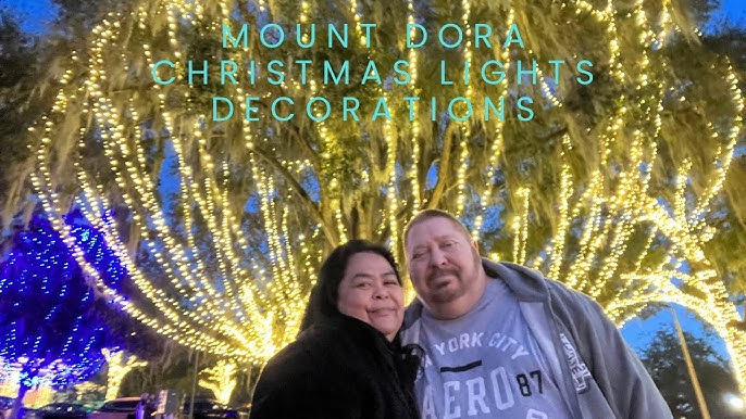 6+ Light Up Mt Dora