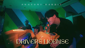 ANATOMY RABBIT - drivers license ( Olivia Rodrigo )