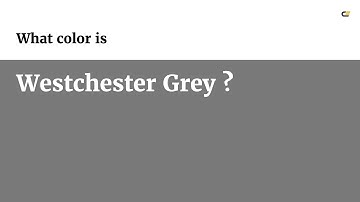 Westchester Grey color #797978 hex color - Green color - Cool color 797978