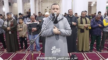 أجمل تلاوات شهر رمضان 2024 بصوت القارئ محمد الشيمى الموهوب من مسجد العمرى سورة المائدة والأنعام