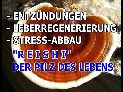 Video: Warum Ist Reispilz Nützlich?