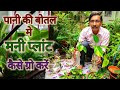 पानी के बोतल मे मनी प्लांट ग्रो करने का सेक्रेट तरीक़ा क्या है  / Secret tips of Growing Money Plant