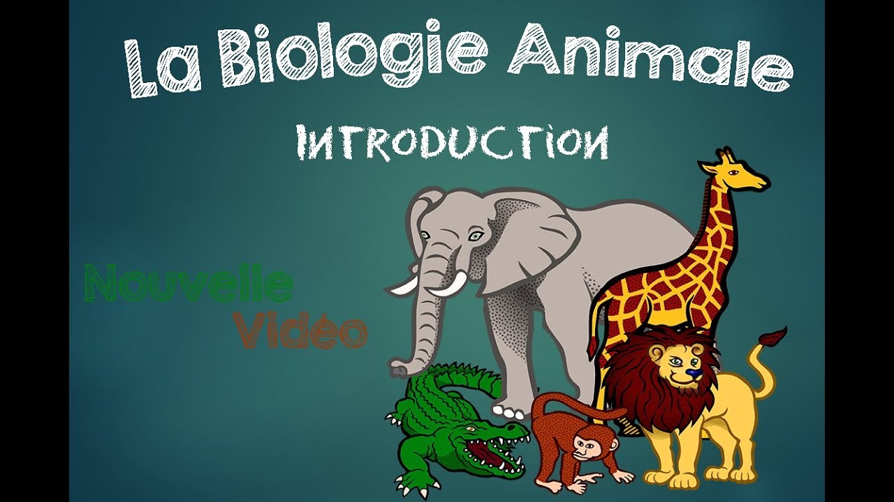 Page De Garde Biologie Ecologie Cest Quoi La Biologie - vrogue.co