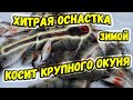 Рыболовная снасть для зимней рыбалки косит крупного окуня