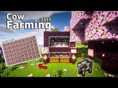 BEST AUTOMATIC Cow Farm Minecraft 1.20 Survival | Bedrock Java