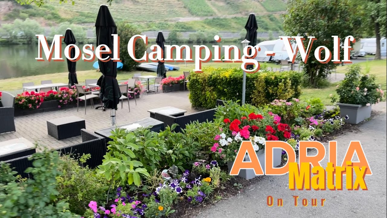 Mosel Camping  in Wolf (Traben-Trarbach)