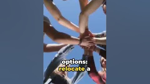 New Pact on Migration and Asylum Screening Regulation:  Eurodac Regulation  Management Finance