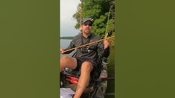 Fishing Basics: Rod Action Vs. Rod Power