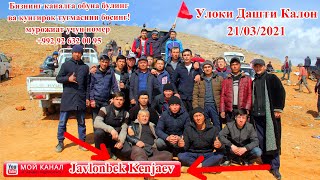 картинка: Улоки(КОК) Дашти калон 21,03,2021 Купкари 2021
