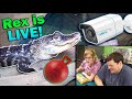 Installing a Livestream Camera for our Alligator!!