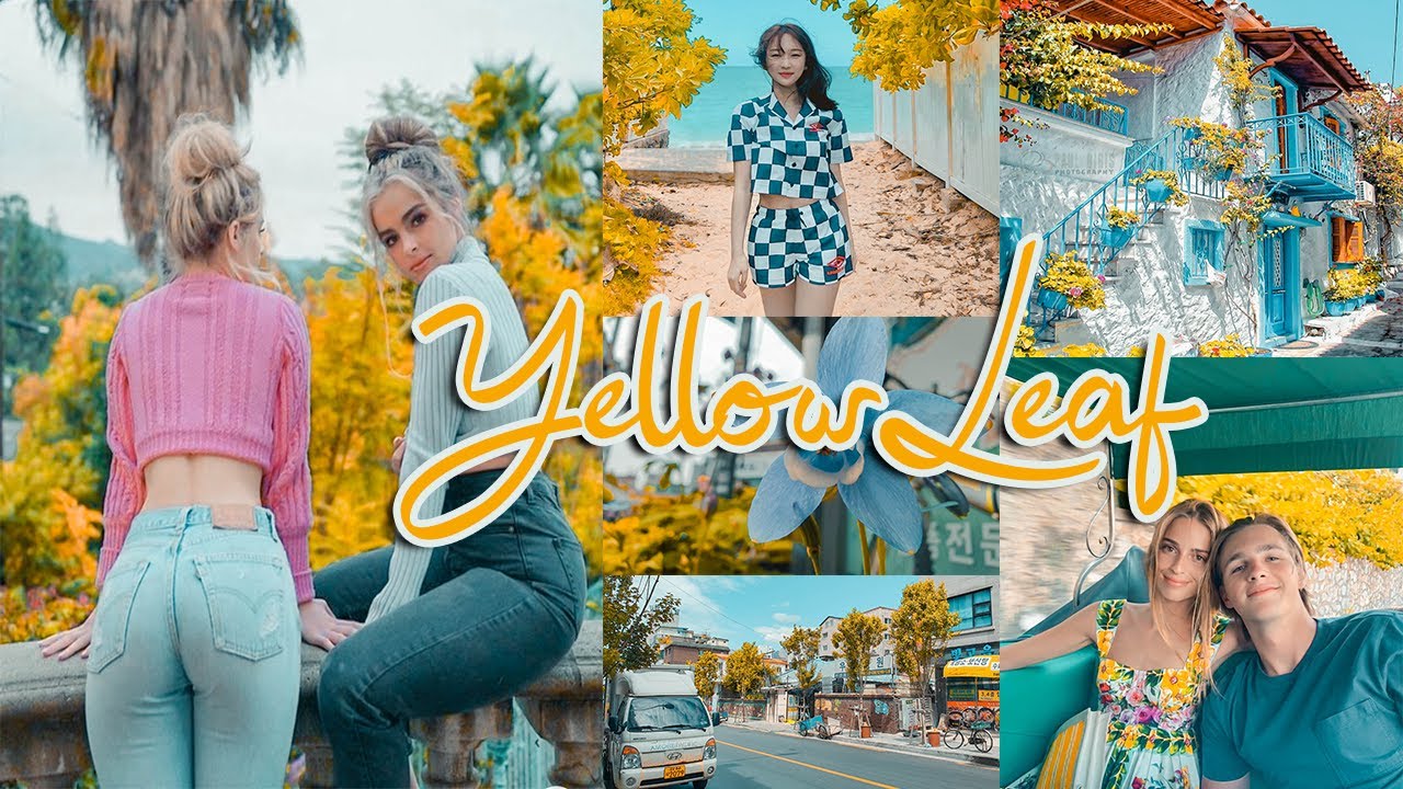 YELLOW LIGHTROOM PRESET TUTORIAL TURN GREEN INTO YELLOW USING