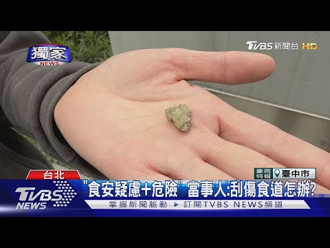#獨家 驚嚇! 老蔡水煎包遭加料? 咬到「1.5cm石頭」|TVBS新聞 @TVBSNEWS01
