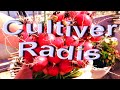 Cultiver Radis (Comment planter des radis en pot, 100% Bio), How to plant radishes