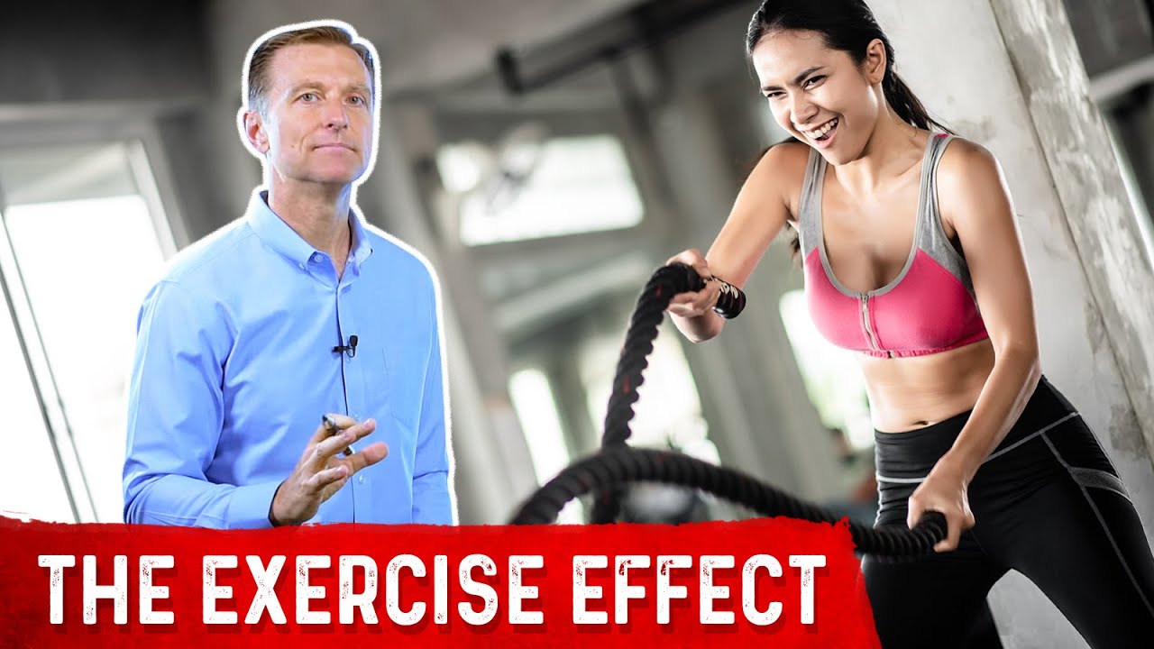 How Exercise Affects Your Immune System - YouTube