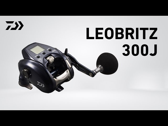 LEOBRITZ 300J