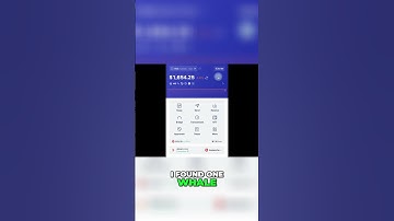 Rabby Wallet Crypto Whale Watching  Track Wallets WITHOUT Private Keys!