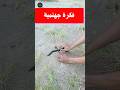 فكرة لن تستغني عنها بعد اليوم , اصنعها بنفسك 🔥#automobile
