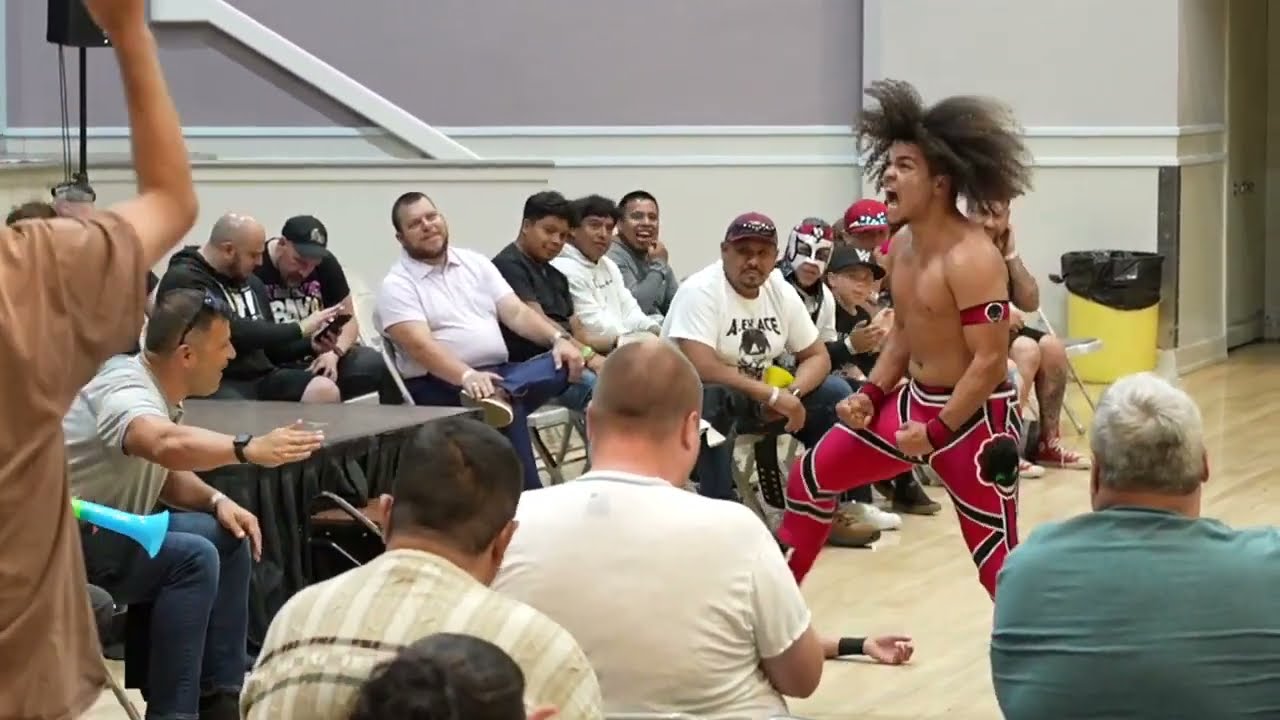 Dom Cirrus Vs Midas Kreed