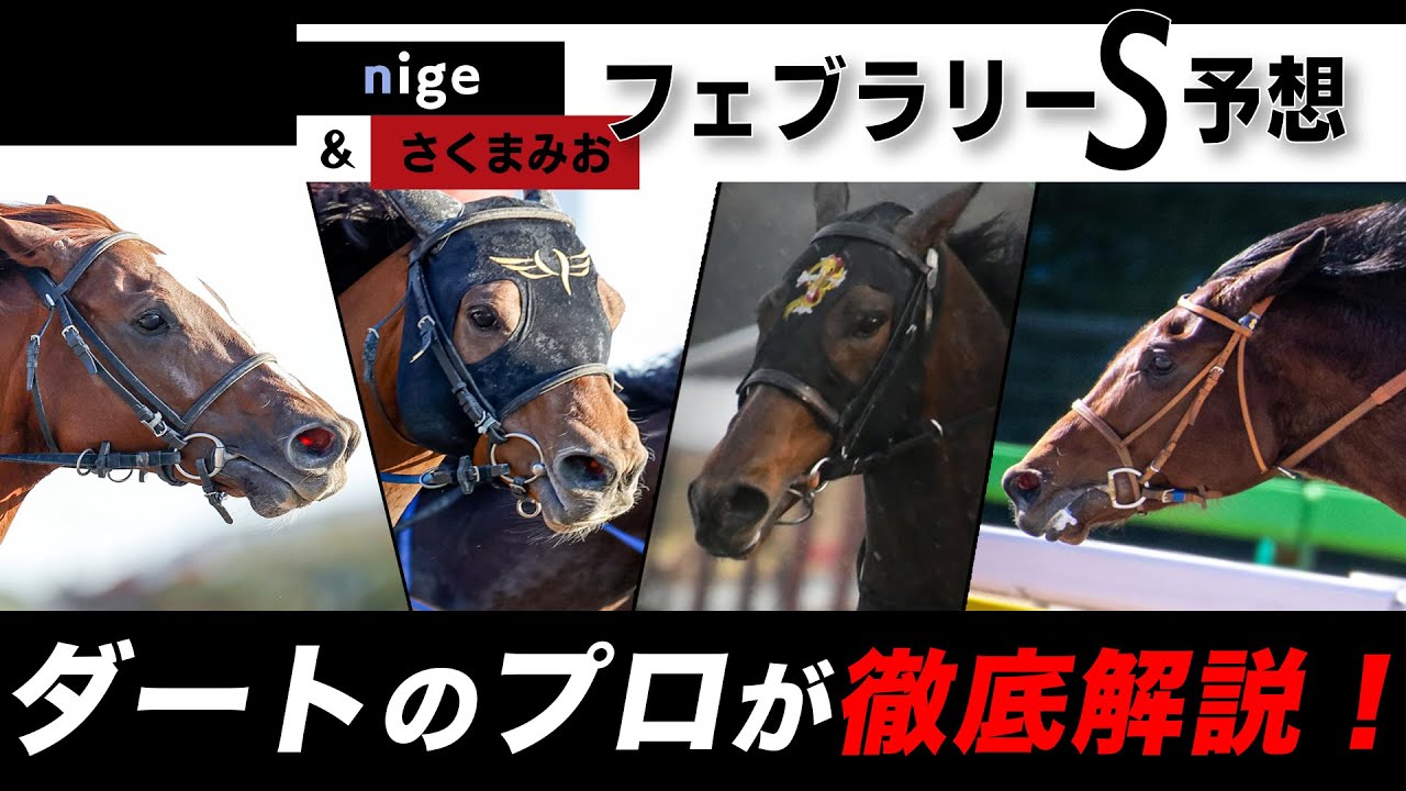 フェブラリーs 有力馬ジャッジ ダート予想のプロ データ派youtuber Youtube