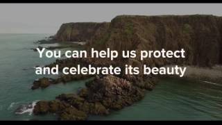 Help Us Celebrate And Protect The Bay Of Fundy!