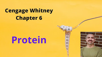 Cengage Whitney Nutrition Chapter 6 Lecture Video (Protein)