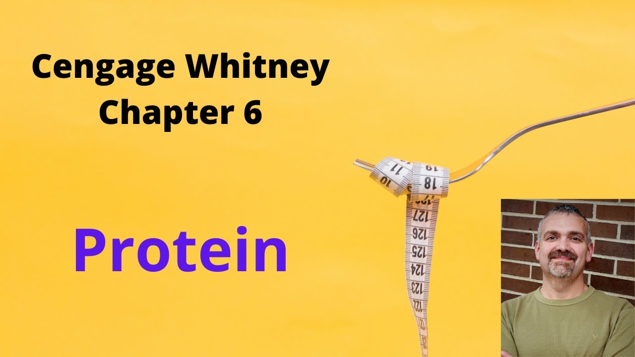 Cengage Whitney Nutrition Chapter 6 Lecture Video (Protein) - YouTube