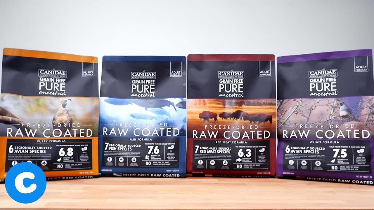 canidae freeze dried raw coated