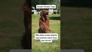 Eco-Friendly Pet Care Tips | Sustainable Dog Hacks-Eco Tips for Dog Owners | GoEcoPaw Hacks